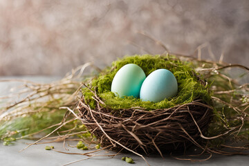 Obraz premium easter eggs in nest