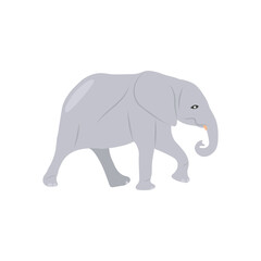 Elephant, African Symbols Illustration
