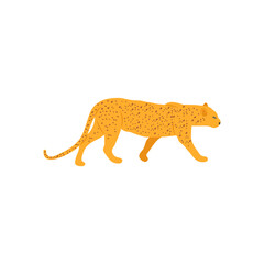 Leopard, African Symbols Illustration