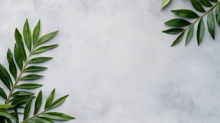 Green Leaves on Soft White Background for Natural Aesthetic Design