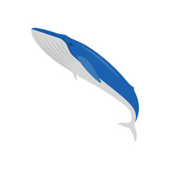 Obraz premium WhaleSeafood Vector Illustration, Isolated