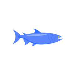 SalmonSeafood Vector Illustration, Isolated