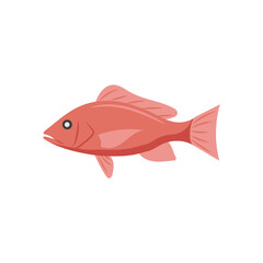 SnapperSeafood Vector Illustration, Isolated