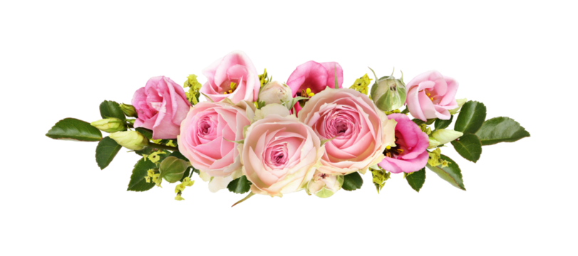 Pink roses and eustoma flowers with yellow limonium in a line floral arrangement isolated on white or transparent background