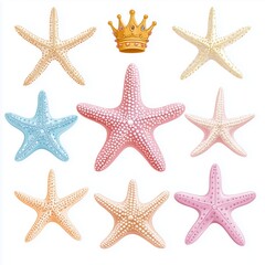 Marine Biology Education, Educational Resources Featuring Starfish on White Backgrounds, marine biology, starfish, educational resources, marine life, biology illustrations