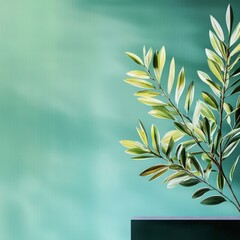 Fototapeta premium Olive Branch Against Teal Wall