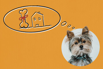 Yorkshire terrier dreaming about a bone with a red ribbon and a house