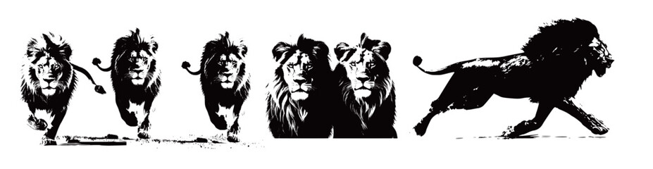 Obraz premium lion silhouette on a white background