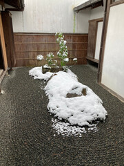 雪化粧の三千院