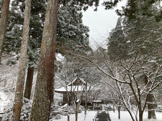 雪化粧の三千院