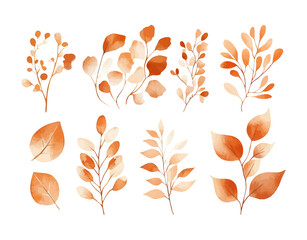 Obraz premium Set of watercolor leaf collection hand drawn design vector element. botanical set of foliage branch for wedding poster invitation design element