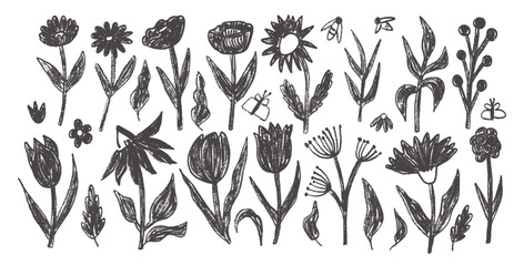 Hand drawn flowers and leaves set. Charcoal linocut poppy, tulip, daisy doodle monochrome. Floral aster and marguerite kids chalk style shape. Vector black pencil illustration on white background. © Syuzann q