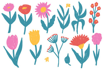 Flowers crayon drawn set. Spring tulip, daisy, aster and marguerite plants doodle set. Pastel childish floral shape. Vector pencil illustration isolated on white background.