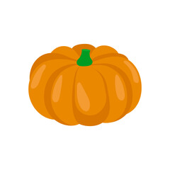 Pumpkin , Autumn Isolated Vector Illustration