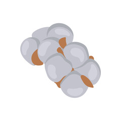 Cotton , Autumn Isolated Vector Illustration