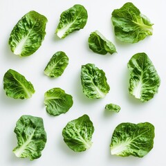 Fresh lettuce leaves arranged on white background; food blog, recipe