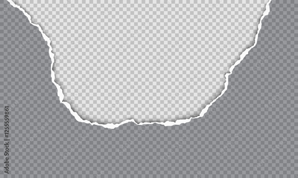 Poster vector horizontal torn paper edge. ripped paper strip with soft shadow.