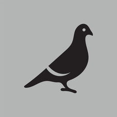 Fototapeta premium vector illustration of a pigeon