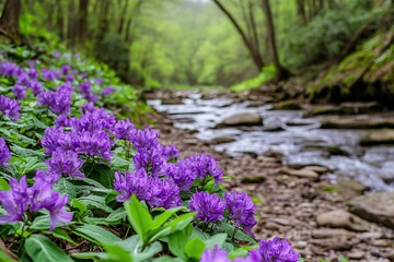 Obraz premium Purple Flowers by Stream in Forest