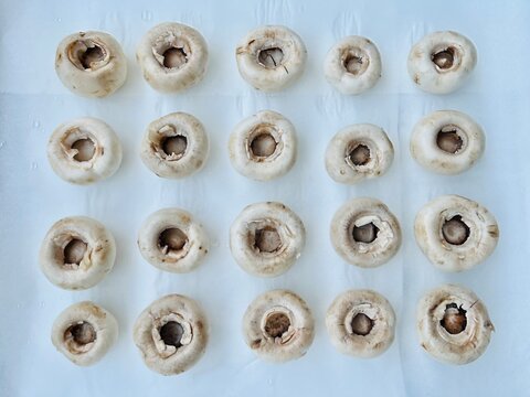 Close-up overhead view of rows of fresh mushrooms