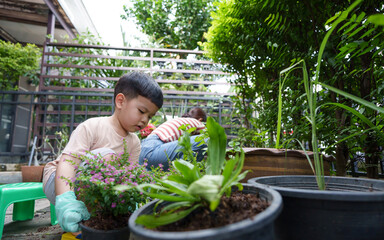Young Asian boy is gardening with focus, surrounded by potted plants and greenery in backyard setting. scene captures peaceful moment of outdoor activity and connection with nature