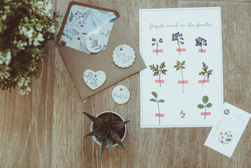Overhead view of assorted houseplants, ceramic ornaments, an envelope and floral stickers