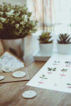 Assorted houseplants, ceramic ornaments and stationery on a wooden table by a window