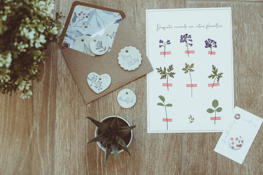 Overhead view of assorted houseplants, ceramic ornaments, an envelope and floral stickers