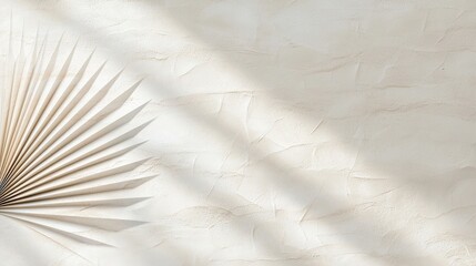 Elegant Paper Fan in Soft Light with Textured Background for Minimalistic Decor and Designs