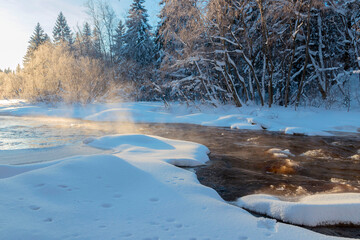 Frosty January, forested area outside the city, northern climate.