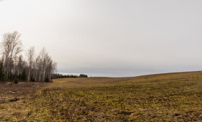 Obraz premium scenic view of the countryside with a road leading to the forest.
