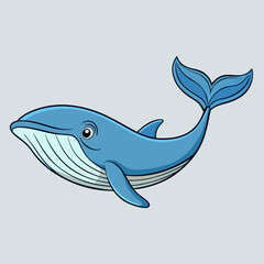 whale vector illustration