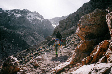 Obraz premium Moroccan Heights – Snowy Slopes of Toubkal - Marrakech imlil October 26, 2025 