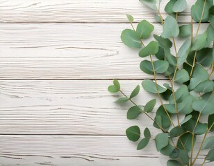 Eucalyptus branches, leaves, wooden background, rustic, white, minimalistic, texture, nature, plants, green, simple, clean, natural, elegant, home decor, aesthetic, tranquil, freshness, tranquility, l