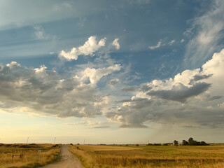 rural road leading towards the horizon, vast field of golden grass under a stormy sky, evoking feelings of peace, solitude, and the beauty of nature