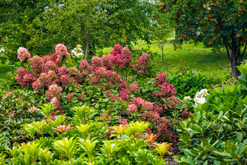 Arboretum Wojsławice Ogród Botaniczny Uniwersytetu Wrocławskiego – ogród botaniczny na terenie Niemczy w woj. dolnośląskim. W 1988 roku włączony w struktury Ogrodu Botanicznego .