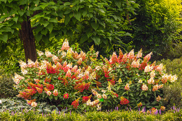 Arboretum Wojsławice Ogród Botaniczny Uniwersytetu Wrocławskiego – ogród botaniczny na terenie Niemczy w woj. dolnośląskim. W 1988 roku włączony w struktury Ogrodu Botanicznego Uniwersytetu Wrocławski