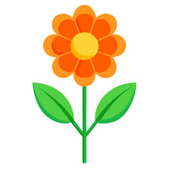 yellow flower isolated on white background