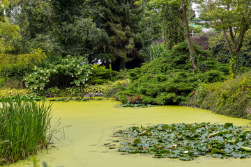 Arboretum Wojsławice Ogród Botaniczny Uniwersytetu Wrocławskiego – ogród botaniczny na terenie Niemczy w woj. dolnośląskim. W 1988 roku włączony w struktury Ogrodu Botanicznego .