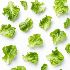 Fresh lettuce leaves pattern, white background, healthy food concept