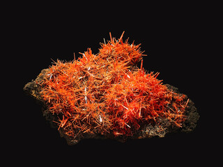 Close-Up View of Coral-Colored Crocoite Mineral Specimen on Dark Background