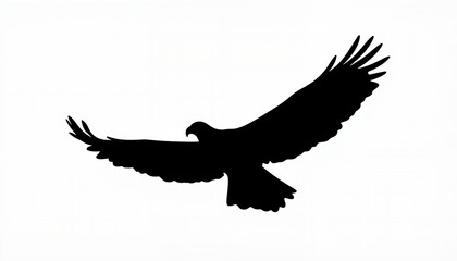 Eagle soaring in flight silhouette, freedom and strength concept