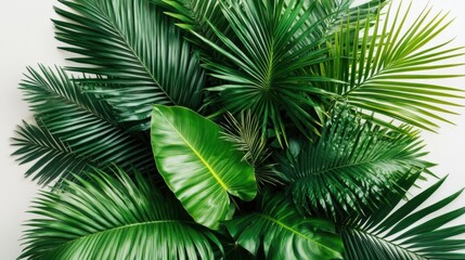 Naklejka premium Lush Green Tropical Foliage with Varied Leaves Creating a Serene Natural Background