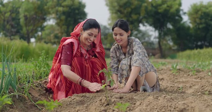 Indian active mother wear saree teen age cute girl sitting help and protect to grow tree in red soil young adult farmer female woman with lady talk gossip do nature care enjoy day desi life garden