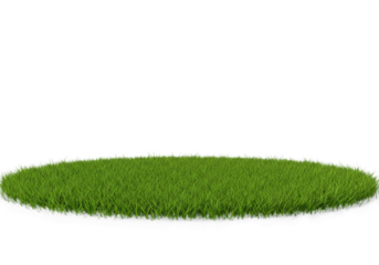 Patch of Green Grass on Black Background for Design Elements