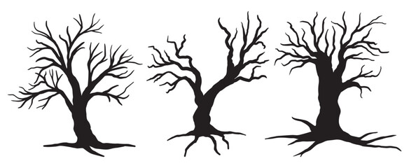 Hand drawn naked trees isolated on white background. Vector black silhouette of three bare trees clipart with roots. Cartoon dead tree branches without leaves vector illustration