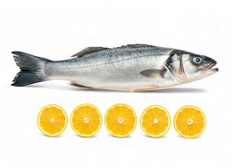 Raw Sea Bass with Orange Slices on Black Background Culinary Still