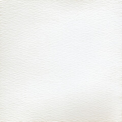 white paper texture