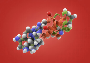 Fototapeta premium Human Insulin Hormone in 3D, Vital Molecule for Diabetes Therapy and Metabolic Control