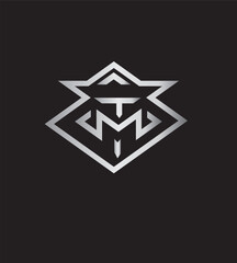 MT  vector text design logo
